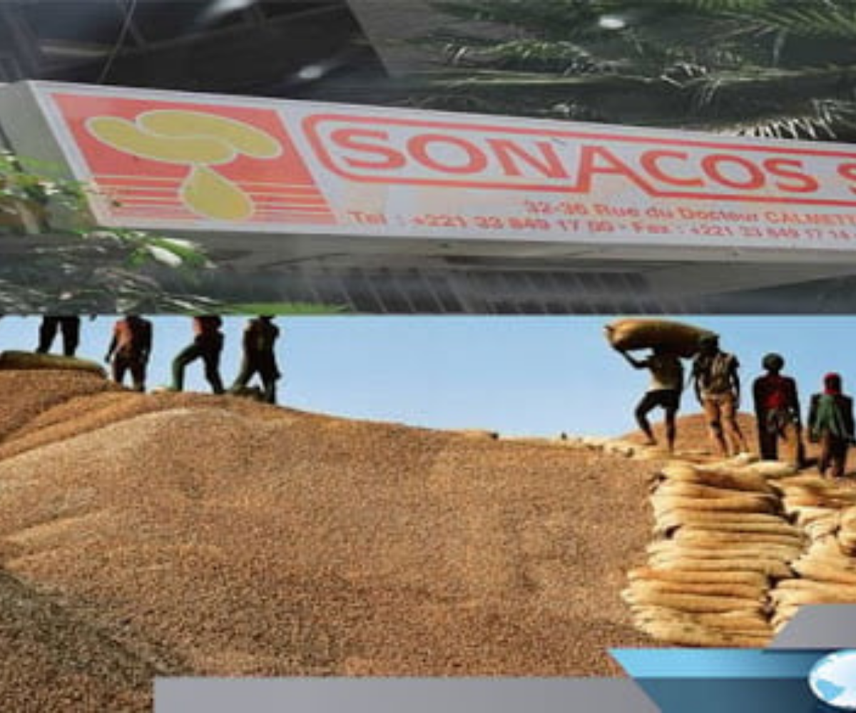 La SONACOS annonce la relance imminente de l’usine de Lyndiane
