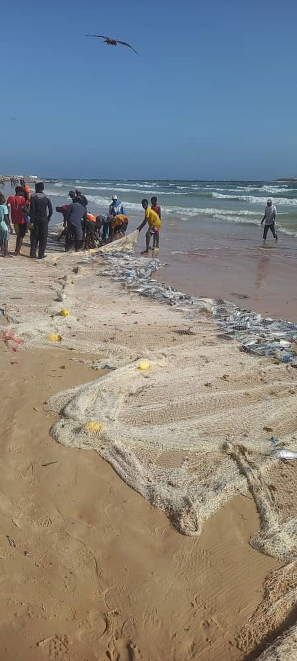 La crise de la pêche artisanale : récit d’une ressource épuisée