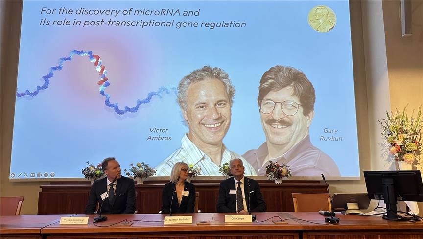 Les États-Unis récompensés par le Prix Nobel de Médecine 2024 pour la découverte du microARN