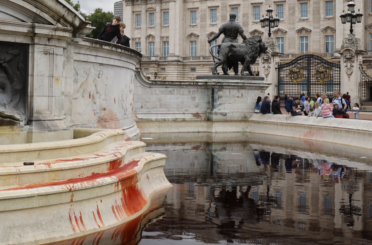 Royaume-Uni : Condamnation pour militants animalistes après une action marquante à Buckingham