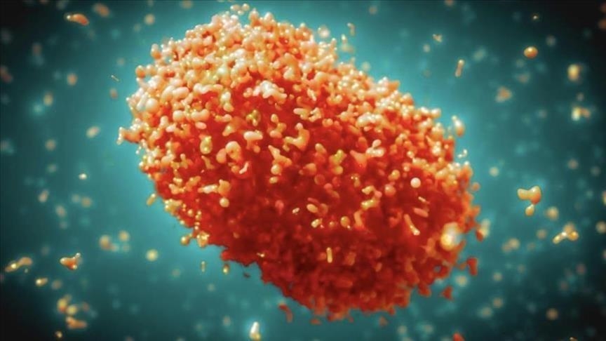 Royaume-Uni : Détection d’un cas du nouveau variant Mpox à Londres