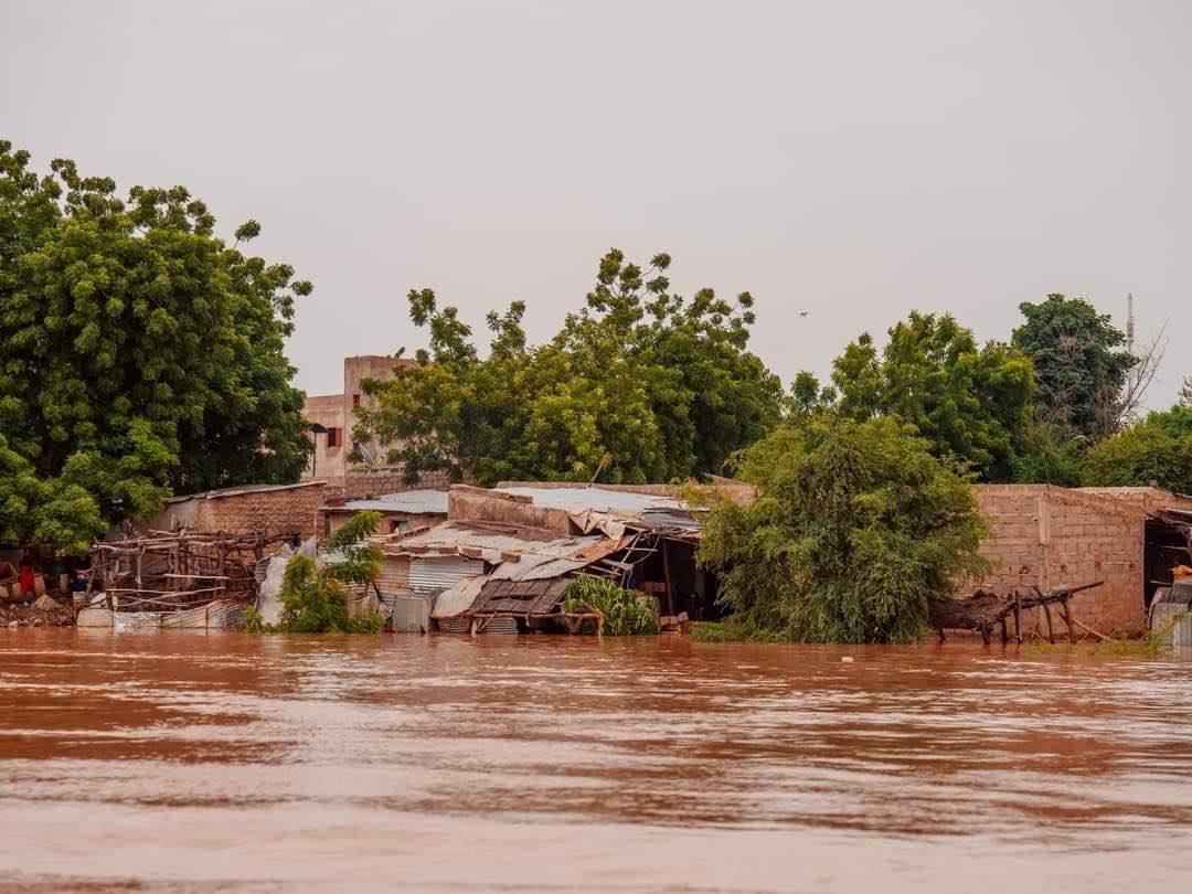 Crue du fleuve Sénégal 2024 – Vigilance orange : Les prévisions de l’OMVS …