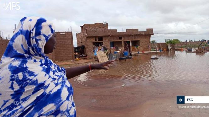 Débordement du fleuve Sénégal dans le Fouta : Mamoudou Ibra Kane accuse le nouveau régime…