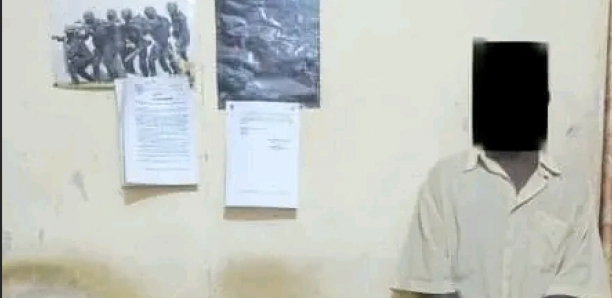 Coup de filet anti-drogue à Karang : saisie record de 72 kg de chanvre