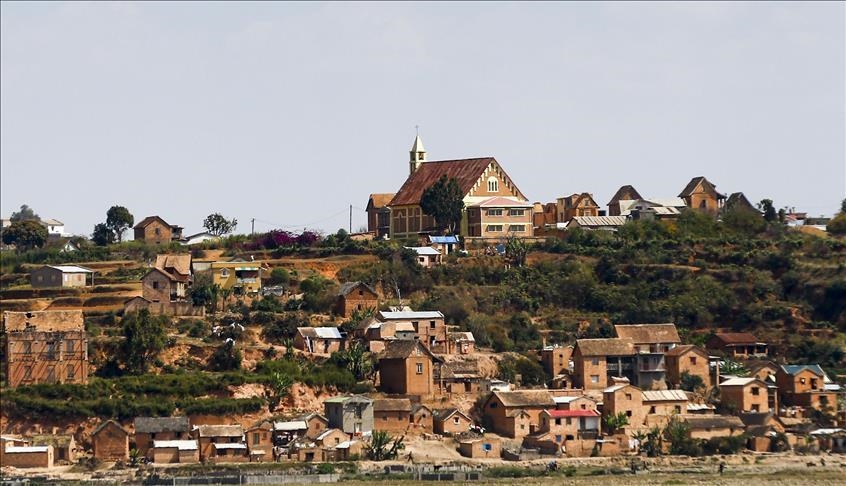 Madagascar : Lancement de la campagne d’exportation de litchis malgré des défis climatiques