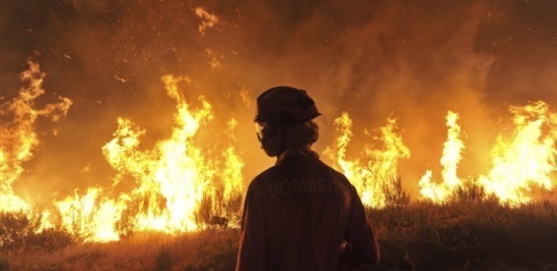 Tivaouane – Série d’incendies mystérieux: Depuis vendredi, des concessions prennent tour à tour feu dans le village de Koul