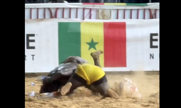 Modou Lô vs Siteu : Y a-t-il vraiment eu « quatre appuis » ? Regardez cette vidéo