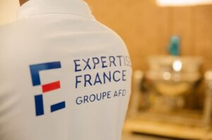 Expertise France : l’aide ou le levier de pression sur la RCA ?