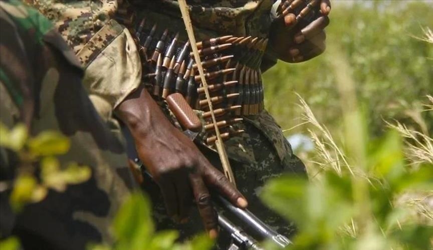 Sommet du Comesa : Des dirigeants africains appellent à faire taire les armes sur le continent