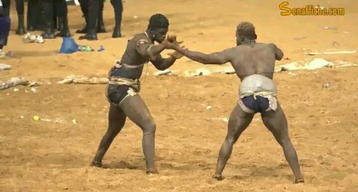 Arène nationale : Diop 2 battu par Mor Kang Kang …