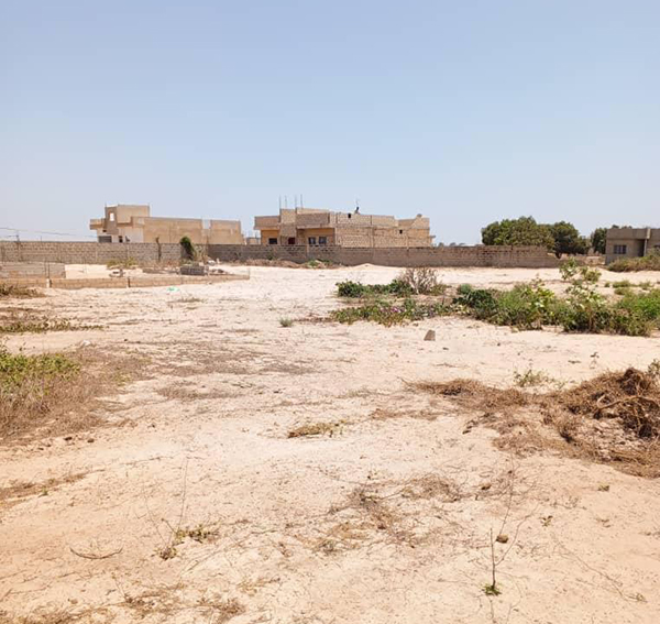 Réformes foncières au Sénégal : le Crafs veut préserver la loi de 1964