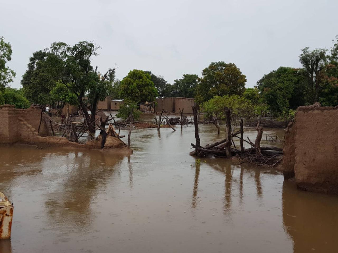 Saint-Louis sous les eaux : La montée du fleuve Sénégal déloge des habitants