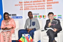 Transformation alimentaire au Sénégal : Solutions locales explorées