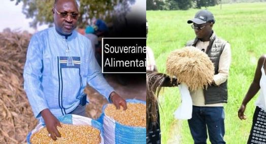 « la souveraineté alimentaire commence par les habitudes alimentaires quotidiennes », Pape Malick Ndao