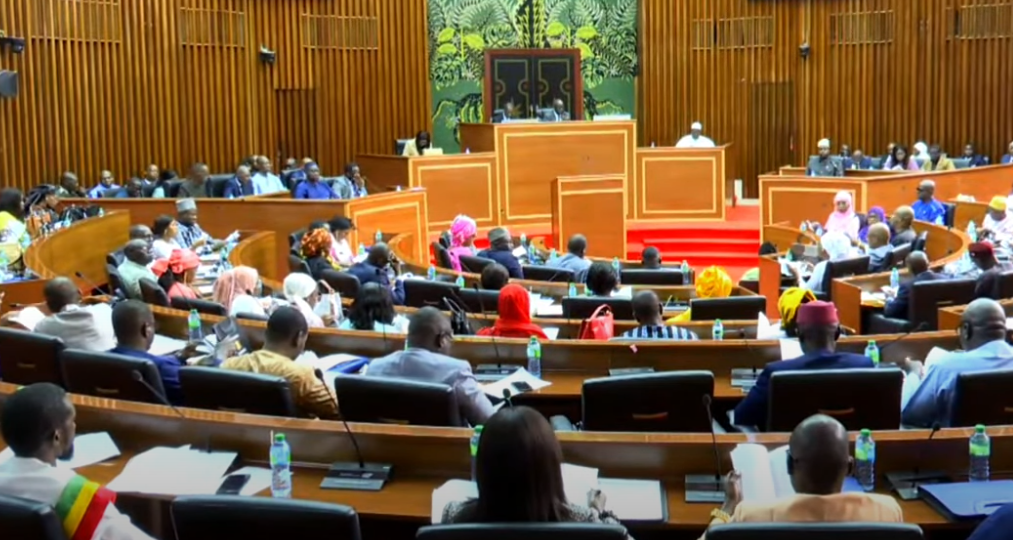 Assemblée : Revivez la plénière sur l’abrogation du CESE et du HCCT (Vidéo)