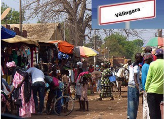 Abdoulaye Souaré Diallo appelle à un plan spécial pour développer Diaobé