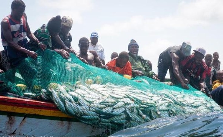 Fin des accords de pêche avec l’UE : une nouvelle stratégie pour le Sénégal