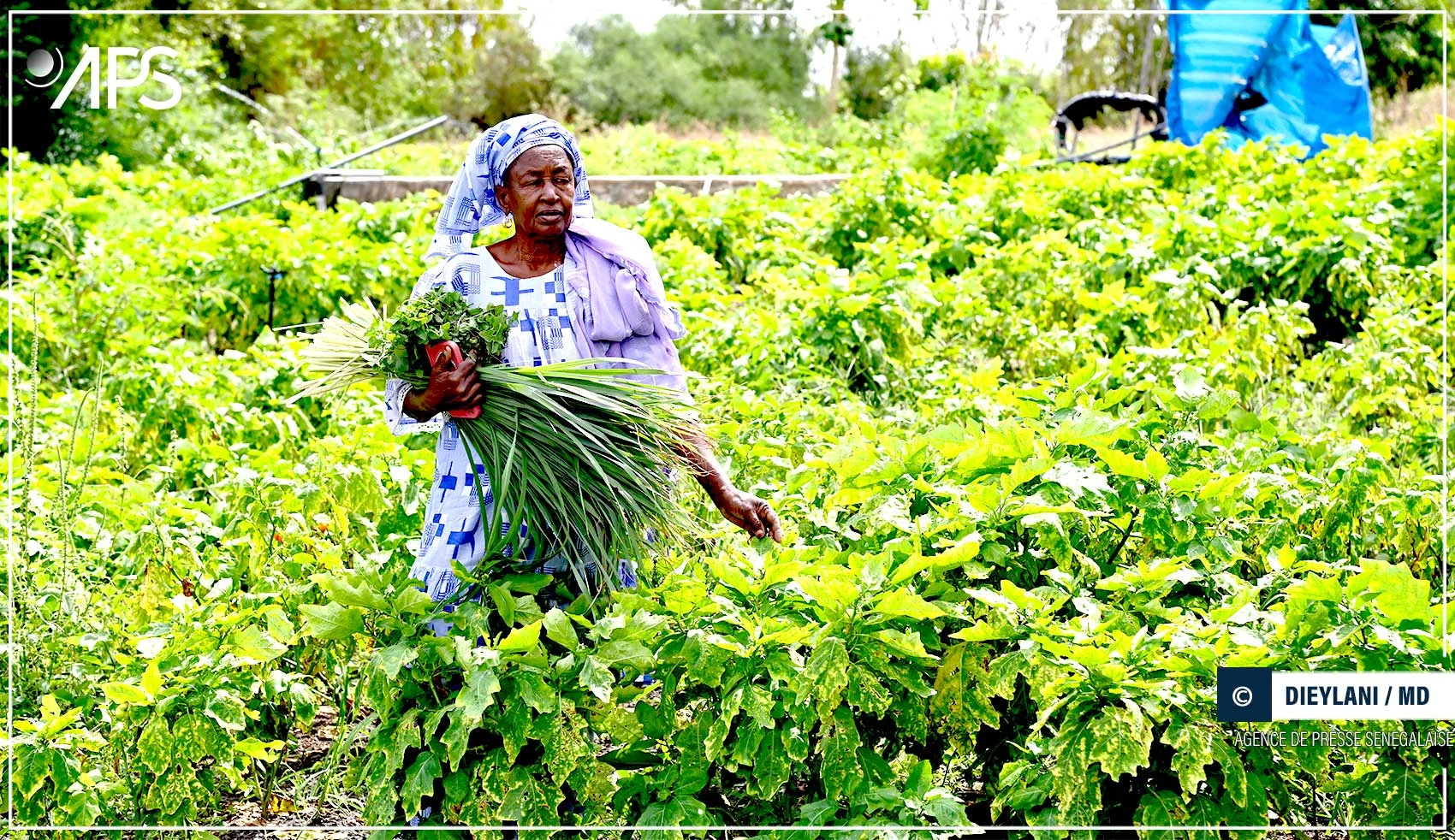 Les Femmes de Kayar Misent sur l