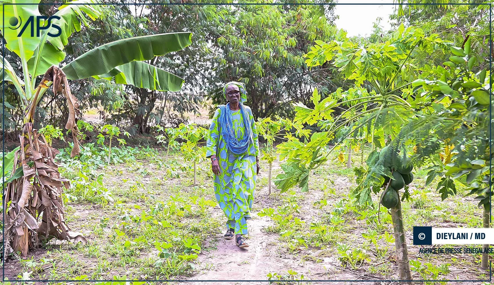 Les Femmes de Kayar Misent sur l