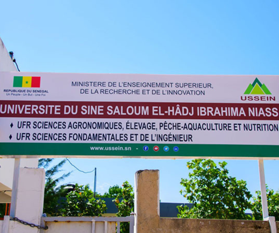 USSEIN : Le SATUC s’insurge contre la crise universitaire persistante à Kaolack