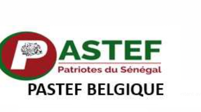 Crise interne explosive : Pastef Belgique brise le silence ce 25 janvier