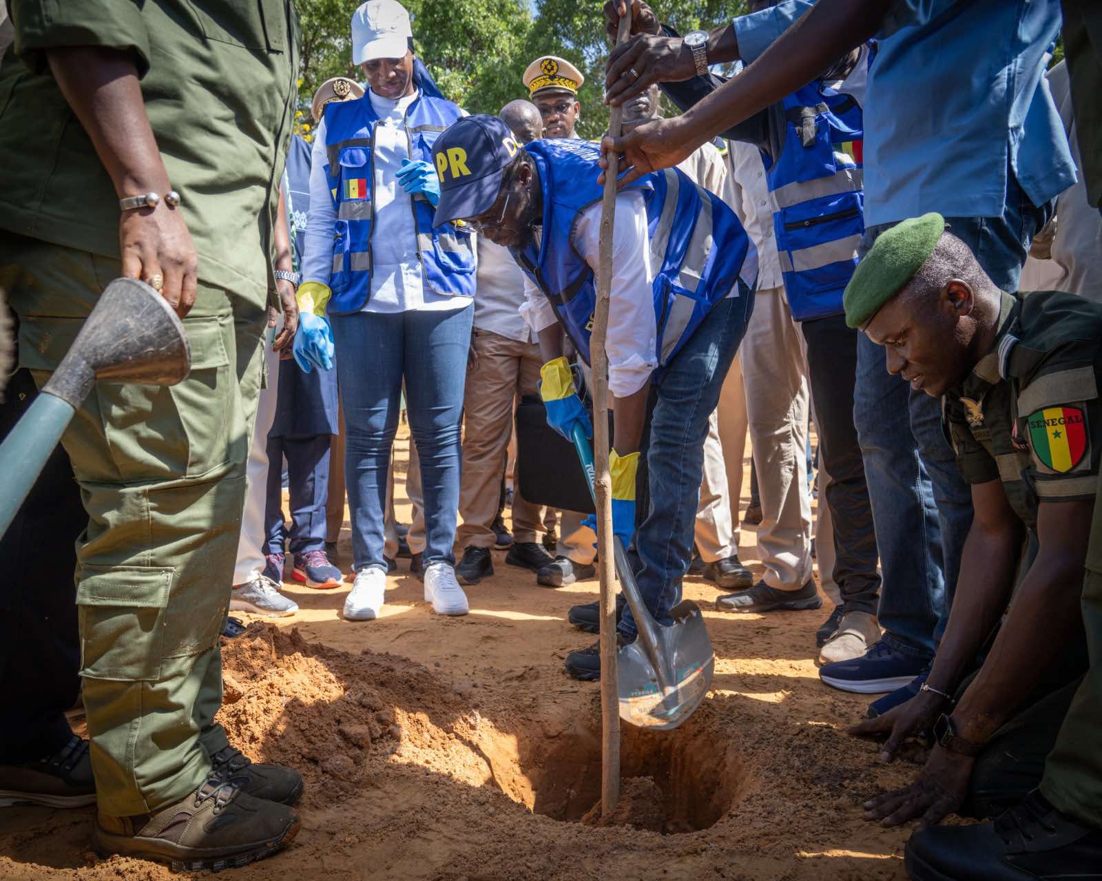 Journée Satal Sunu Rew: Le président Diomaye Faye plante un arbre devant la préfecture de Guédiawaye (vidéo)