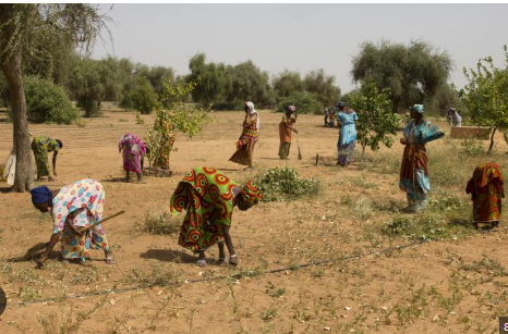 Foncier au Sénégal : Les femmes face à des obstacles persistants