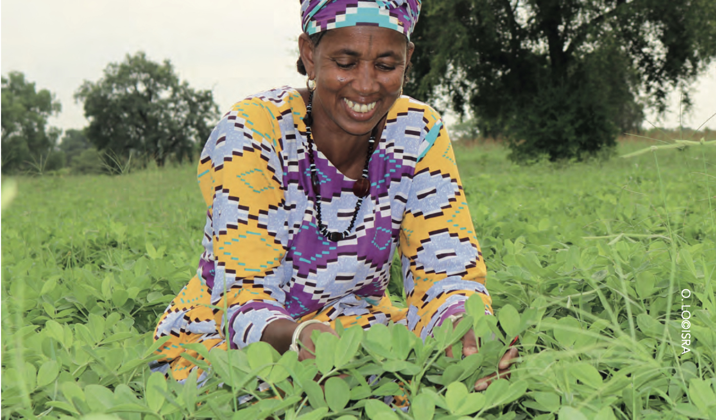 Mbour : Un atelier pour renforcer la résilience agro-écologique et la souveraineté alimentaire