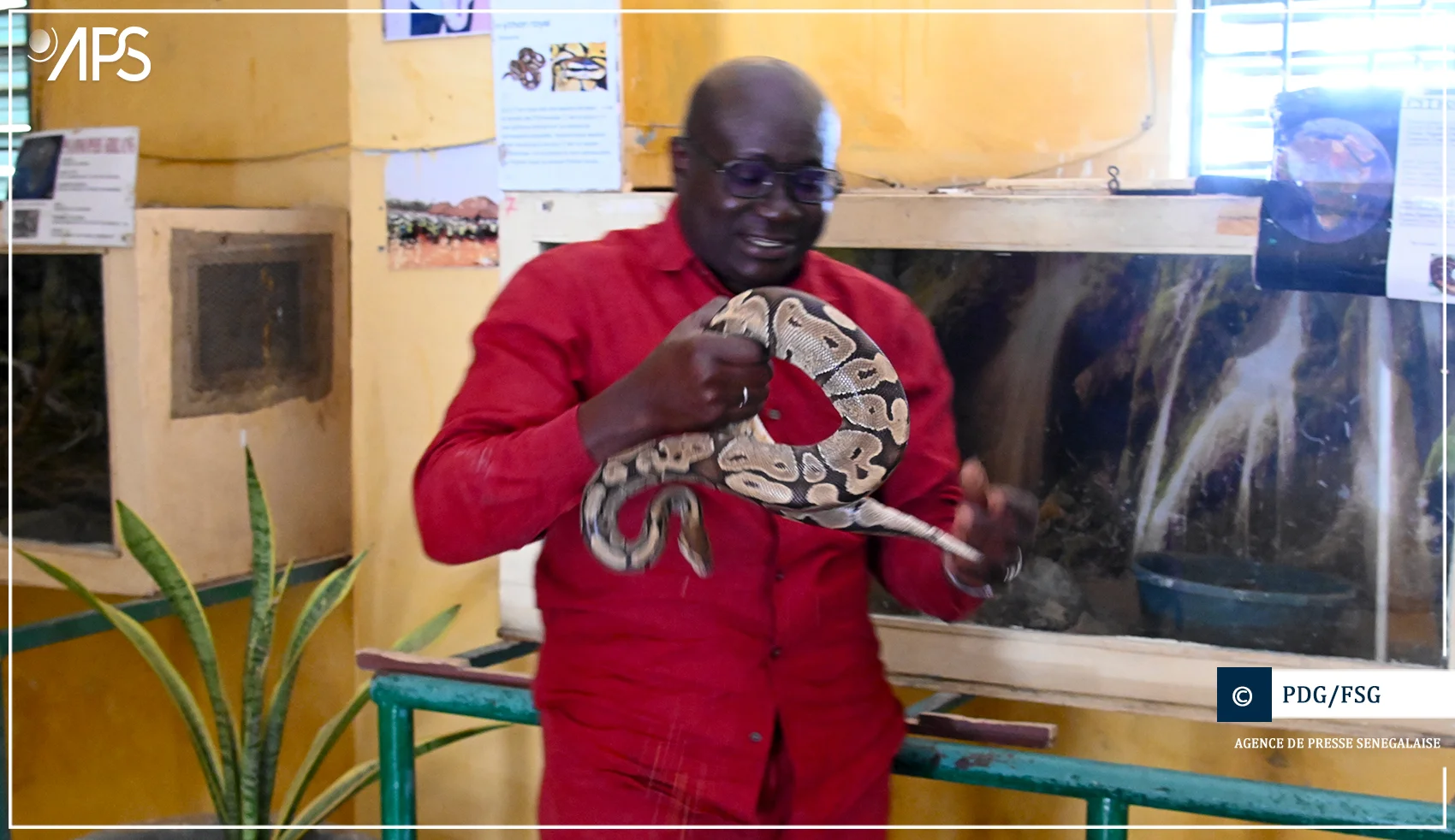 Reptilarium de Hann : un sanctuaire pour les serpents menacés à Dakar