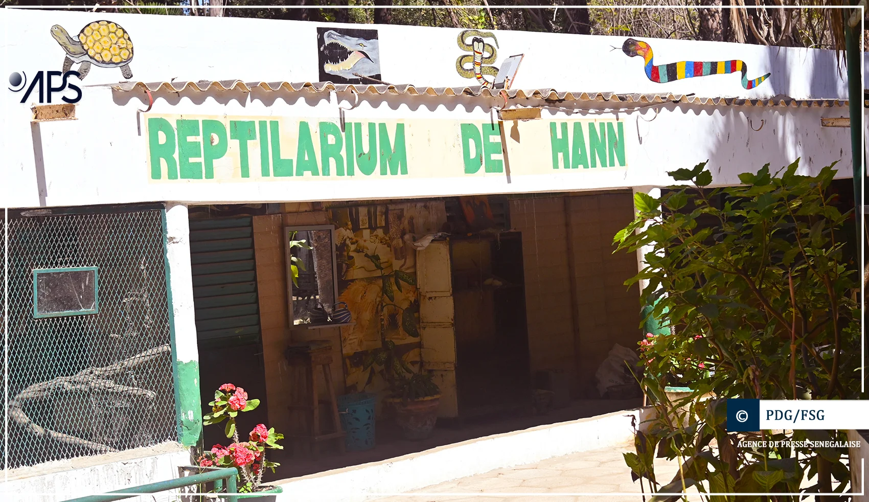 Reptilarium de Hann : un sanctuaire pour les serpents menacés à Dakar