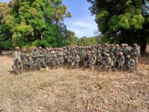 Kolda : L’armée détruit plusieurs hectares de chanvre Indien à Sare Koundian – Regardez !