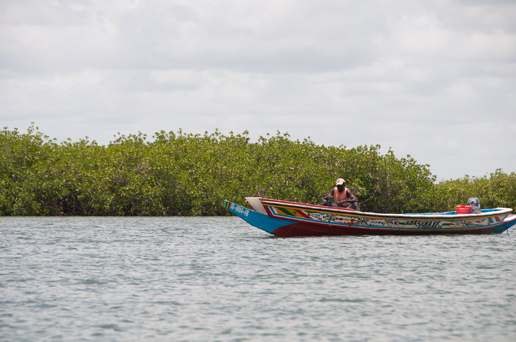 L’isolement critique du village insulaire de Haère en Casamance