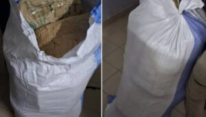 Trafic de drogue : Coup de filet de l’OCRTIS avec une saisie de 97,5 kg de chanvre indien