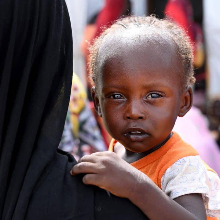 Soudan : Une famine catastrophique aggravée par le blocage de l’aide humanitaire par l’armée