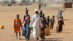 Niger : Alerte spéciale sur la recrudescence des criquets pèlerins au Sahel