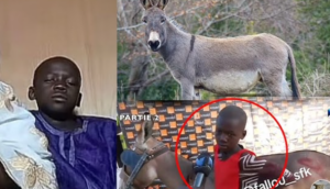 Affaire Ameth Ndiaye : Un miroir grossissant de la société sénégalaise*