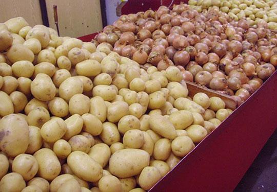 Souveraineté alimentaire: le Sénégal met fin aux importations de pomme de terre et d’oignon