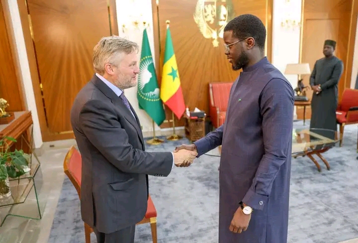 GTA : Le Président Diomaye Faye reçoit le PDG de BP après le lancement des exportations de GNL
