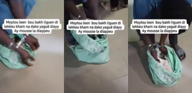 Médina : Deux vendeurs de « dibi Haoussa » arrêtés avec un chat égorgé