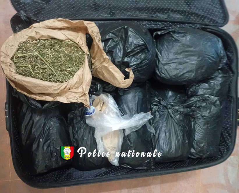 Trafic de drogue à Ziguinchor : un homme arrêté avec 8 kg de chanvre indien