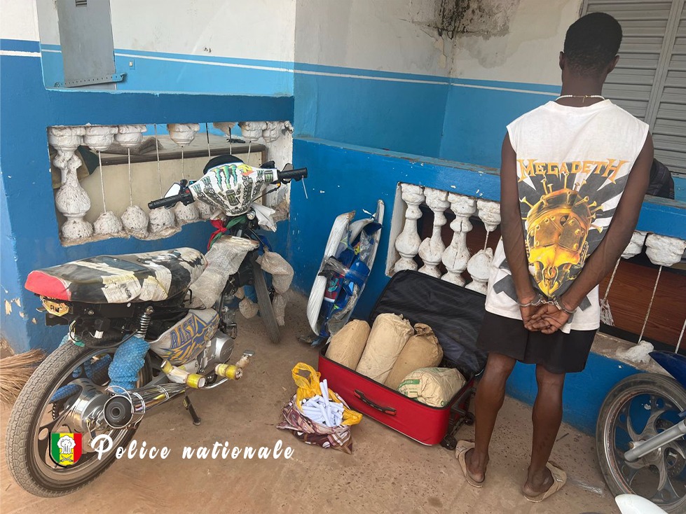 Kolda : Un dealer interpellé avec 4 kg de chanvre indien à Gadapara