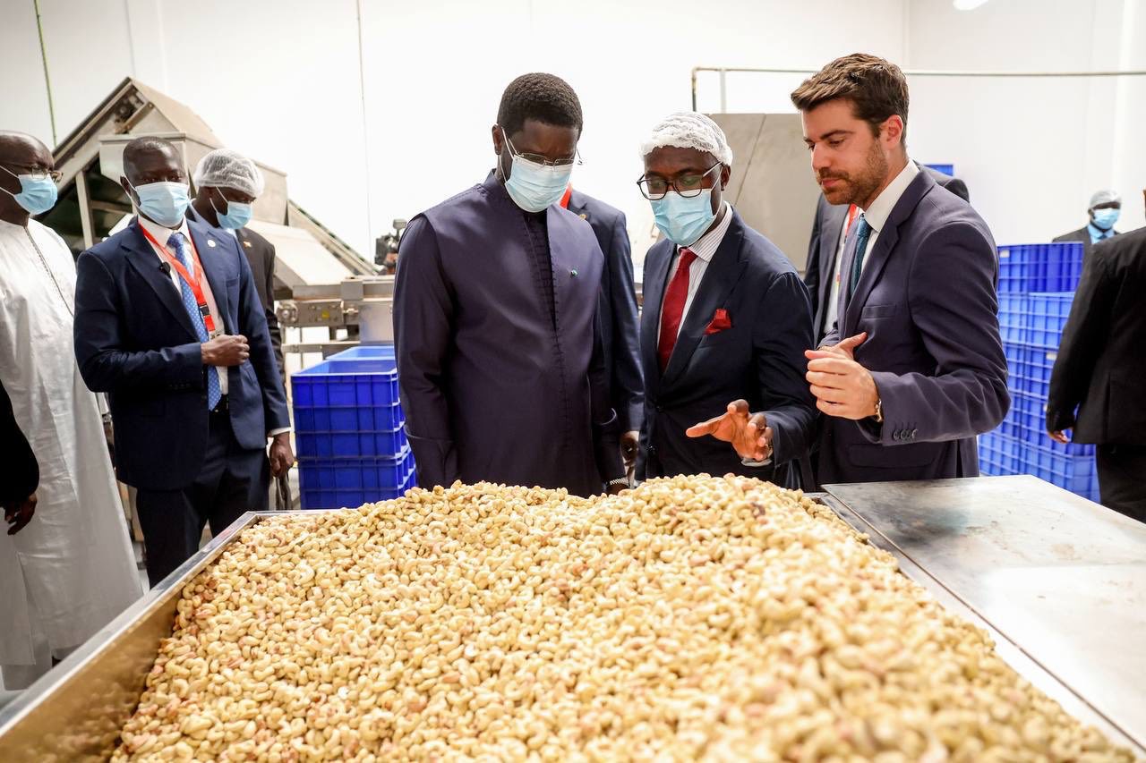Guinée-Bissau : Le président Diomaye Faye boucle sa visite d’État par une visite d’usine (photos)
