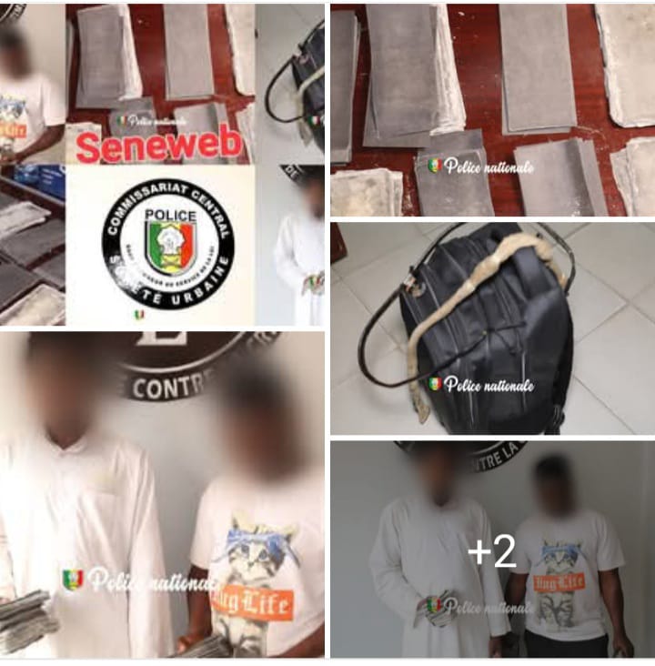 Arrestation de trafiquants gambiens en possession de faux billets de 5 millions de dollars