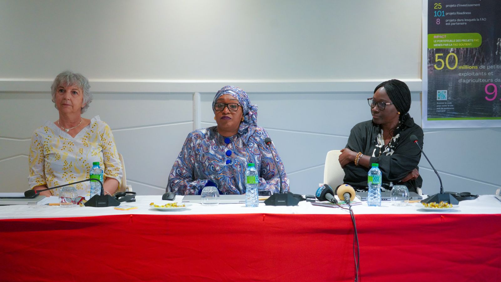 Atelier à Dakar : les pays francophones confrontés à la barrière linguistique pour accéder au Fonds vert climat