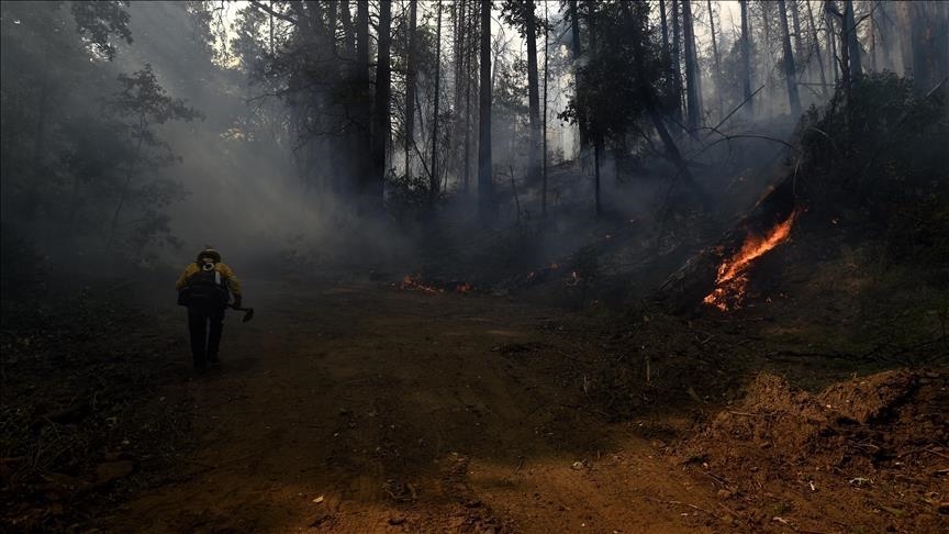 Canada : État d’urgence déclaré au Manitoba face aux incendies de forêt