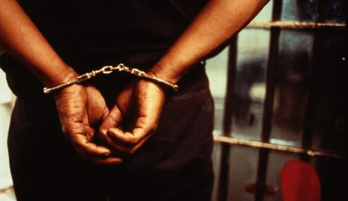 Choc à HLM Las Palmas : une mère accusée de violences sur sa fille
