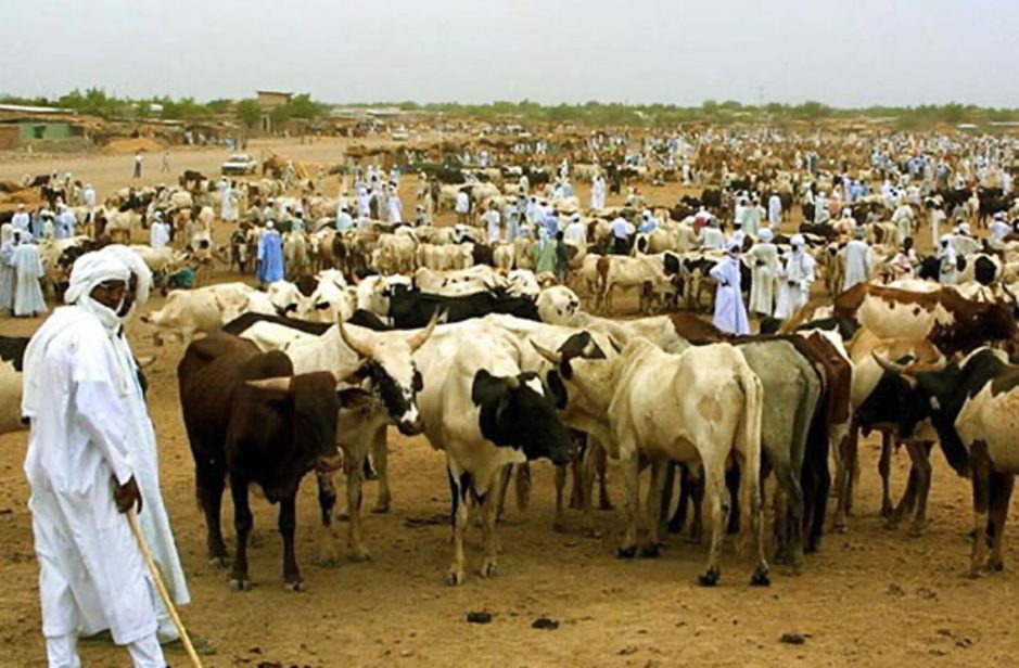 Durabilité du pastoralisme au Sahel : une réflexion concertée pour un avenir résilient