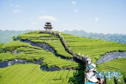 Hubei : Révélation des trésors naturels et culturels comme atouts touristiques