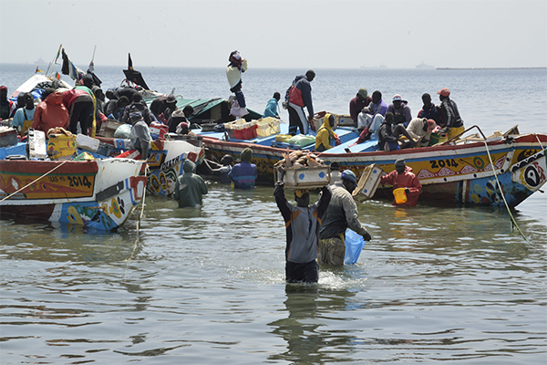 Joal-Fadiouth : Mamadou Sarr élu pour une pêche artisanale durable