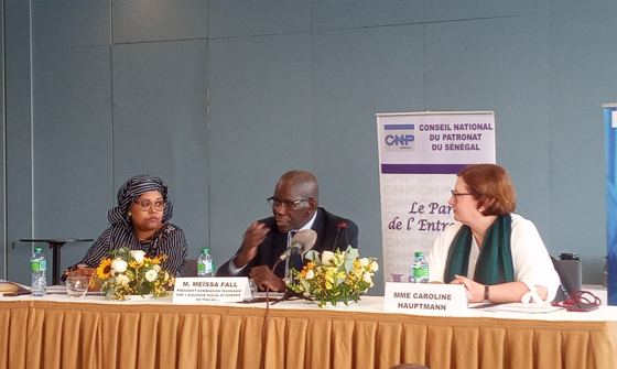 Meïssa Fall discute de la réforme du Code du Travail au Sénégal